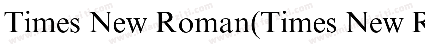 Times New Roman(Times New Roman)字体转换